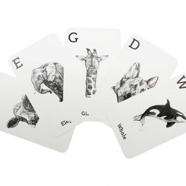 Animal 4D+ Flashcard hình ảnh động