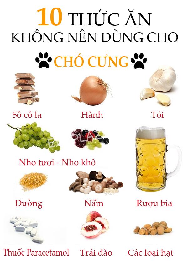 10 loại thức ăn không nên cho chó ăn để bảo vệ chó không bị đi ngoài 1 10 loại thức ăn không nên cho chó ăn để bảo vệ chó không bị đi ngoài 1