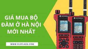 gia-mua-bo-dam-o-ha-noi-moi-nhat