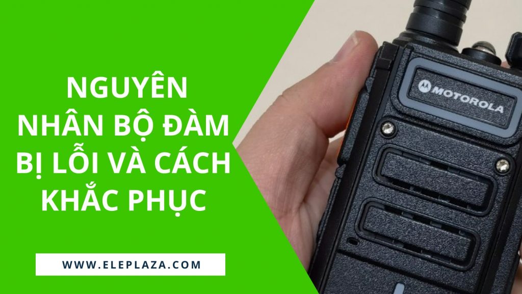 nhung-nguyen-nhan-bo-dam-bi-loi-va-cach-khac-phuc